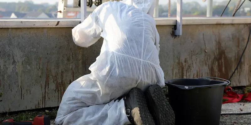 Male in disposable coverall.webp (31 KB)